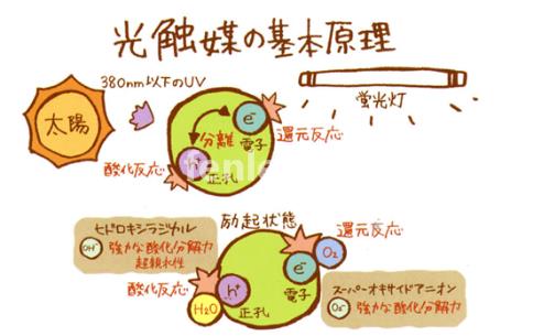 阿拉善专业保洁公司承接开荒外墙地毯家电除甲醛灭鼠等保洁业务